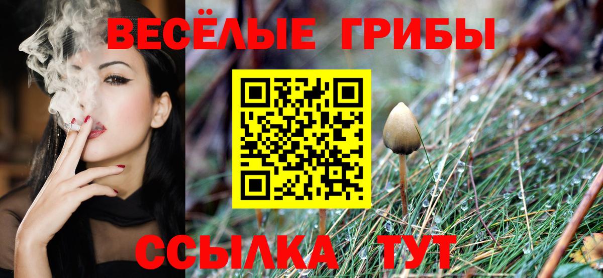 Псилоцибиновые грибы MAGIC MUSHROOMS Донской